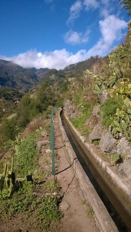 شقة Ribeira Brava Studio Sea View المظهر الخارجي الصورة