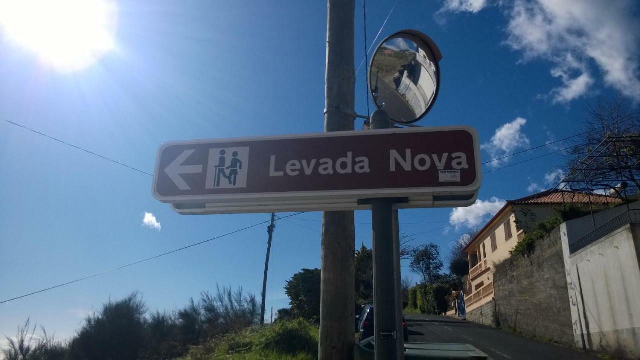 شقة Ribeira Brava Studio Sea View المظهر الخارجي الصورة